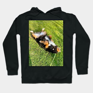 Rolling with Laughter! Hoodie